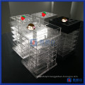 Chine Wholesale New Design Spinning Acrylic Lipstick Stand